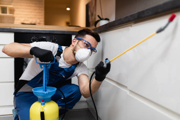 Wasp Removal Services in Alto, GA