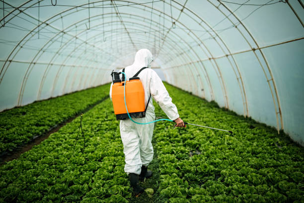 Best Affordable Exterminators  in Alto, GA