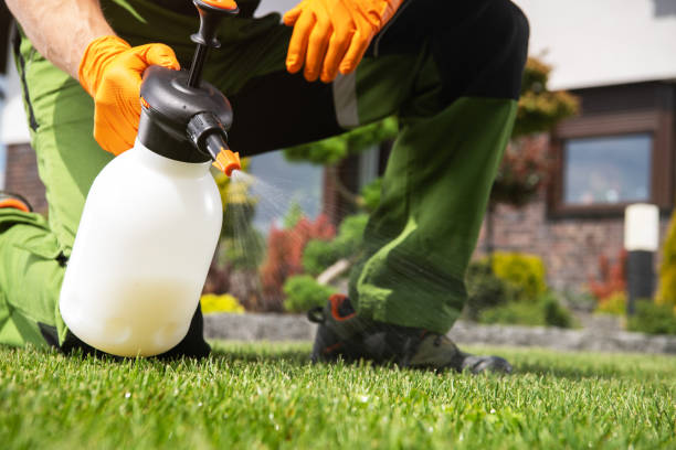 Professional Pest Control in Alto, GA