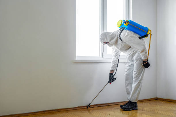 Pest Control for Restaurants in Alto, GA