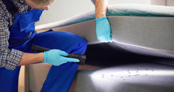 Best Emergency Pest Control  in Alto, GA