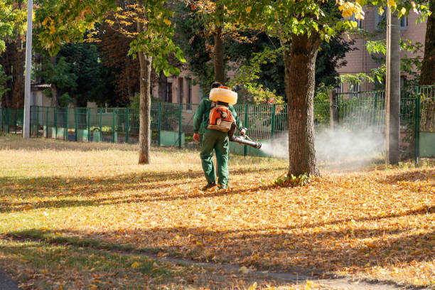 Best Flea Control Services  in Alto, GA