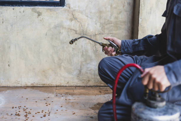Best Best Pest Control Companies  in Alto, GA